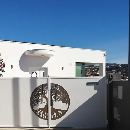The Tree Of Life House * 蓬他达维托亚